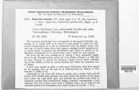 Image Associated With the Occurrence
